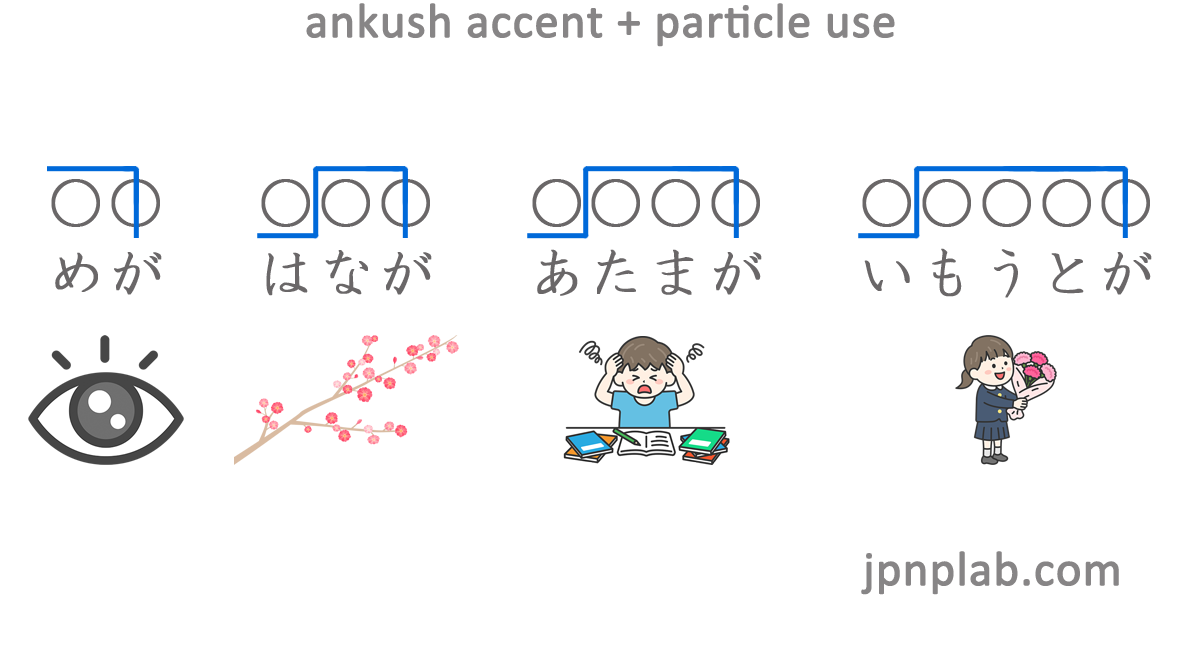ankush_accent_particle_use